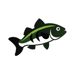 Bass Fish on White Background
