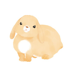 茶色い兎　ロップイヤー