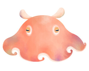 じっとするメンダコ