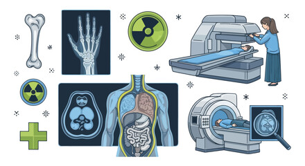 Medical Diagnostic Imaging Equipment and Human Anatomy Illustrations.