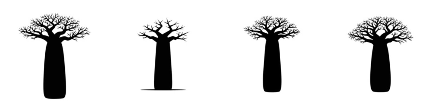 Four silhouettes of baobab trees, each with a thick trunk and sparse branches, set against a white background.