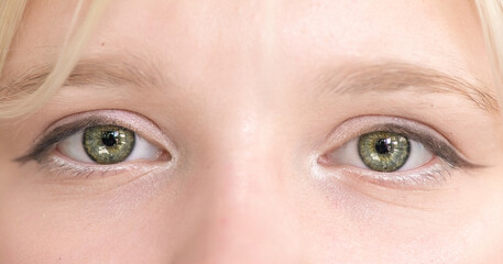 Obraz premium Close-up portrait of a young woman with striking blue eyes and orange hair, showcasing unique facial piercings and natural beauty in a soft, blurred background
