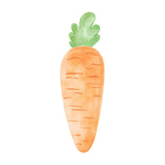 Carrot with tops watercolor painting for food designs in kids style. Hand-drawn isolated cute vegetbeles for Easter greeting card. Fresh vegetable plant sketch for print. Clip art of healthy eating.