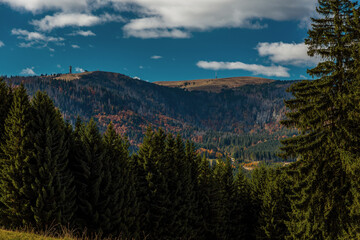 Blick über das Bärental auf den Feldberg im Schwarzwald,
