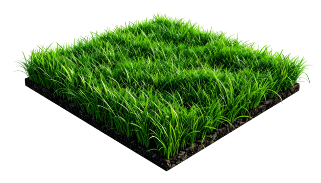 Isometric square of vibrant green grass and dark soil on a solid black background