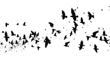 Obraz premium Dark night sky, numerous silhouettes of birds or bats in flight. Some pixels speckled