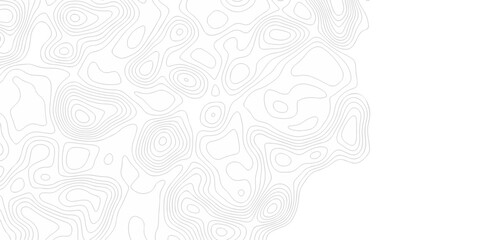 Minimal white line geometric grid outline curve counter map and wavy topography relief discovery area white, black line texture background.	
