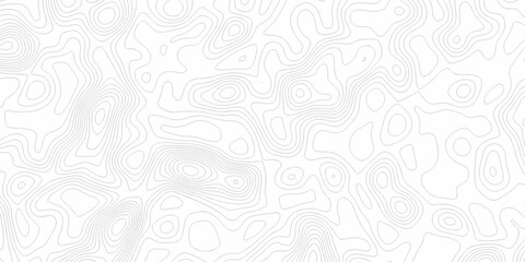 Minimal white line geometric grid outline curve counter map and wavy topography relief discovery area white, black line texture background.	
