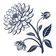Dahlia Flower Vector Icon