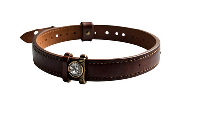Leather collar with a sparkly watch-like face buckle