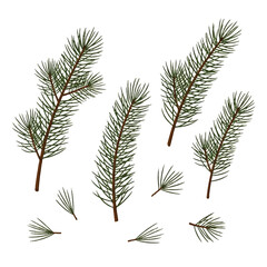 Collection of vibrant green pine tree sprigs and scattered needles, hand-drawn vector elements for creating natural forest scenes, winter holiday cards, or rustic decorations