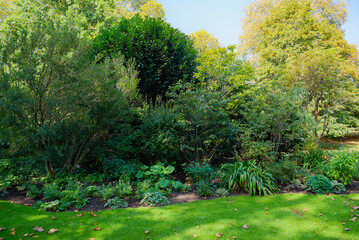 Garden design and landscaping for a refreshing, shaded look in England.