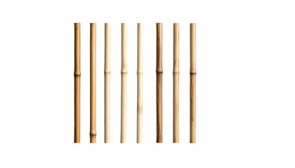 Row of nine bamboo stalks, evenly spaced, against a dark backdrop