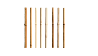Row of nine bamboo stalks, evenly spaced, against a dark backdrop