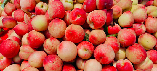 A pile of fresh ripe peach fruits.	
