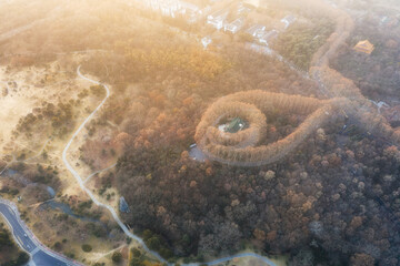 aerial photography of the park in autumn




