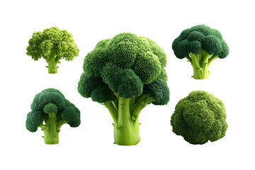 Fresh broccoli florets and a large head arranged artfully on a contrasting surface for a healthy food concept isolated on transparent background