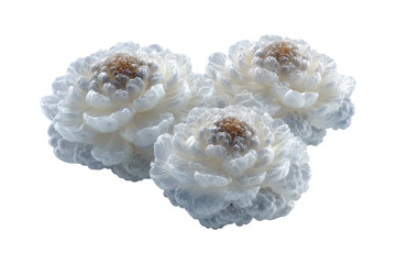 Abstract 3d rendering of a heart-shaped formation composed of three fluffy cloud-like structures delicate and ethereal isolated on transparent background