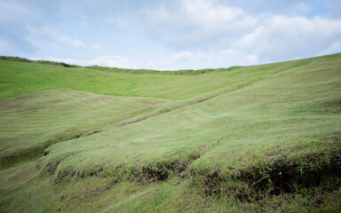 Obraz premium green field and blue sky
