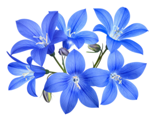  Fantasy Blue Glow Flowers with Sparkling Petals PNG
