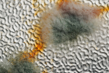 Macro detail of grey mold on an aluminum lid.
