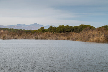 Clot de Galvany in Alicante, Spain, with a tranquil water body surrounded by reeds and greenery, set against distant mountains under a partly cloudy sky