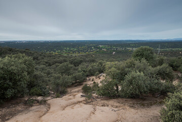 Eroded path through a dehesa oak forest in Monte del Pardo, Madrid, Spain. Deep grooves mark the sandy soil, indicating frequent water flow. Oak trees and lush greenery spread out beneath a cloudy sky