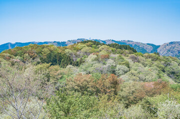 Fototapeta premium 茨城 助川山山頂から高鈴山方面（日立市）
