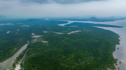 Aerial view Shallow Sea with Small Islets and Tidal Flats.
A vast stretch of shallow sea dotted with small islands forms a unique coastal landscape where mangrove forests thrive along the shoreline