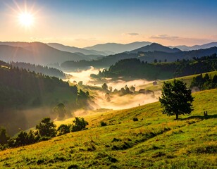 Sunrise illuminates rolling hills with morning mist and a lone tree