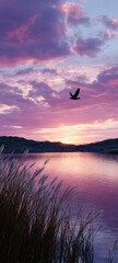 Obraz premium Serene Sunset Over a Calm River with Flying Bird
