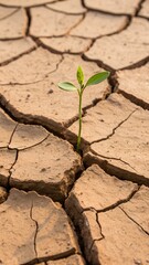 Macro photo of cracked mud with tiny sprouting green plant, beautiful contrast between dry earth and new life.