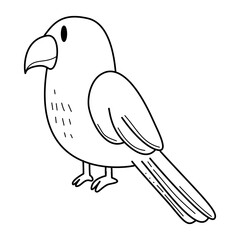 Cute Parrot – Bird Line Art Vector Illustration
