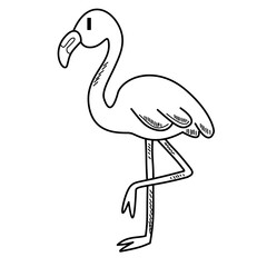 Cute Flamingo – Bird Line Art Animal Vector