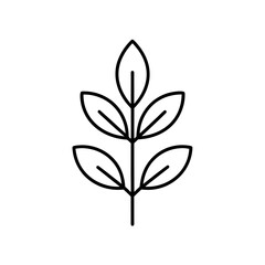 Minimalist illustration of a stem with simple leaves on transparent background