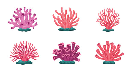An assortment of colorful coral formations on a plain white background