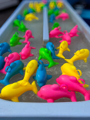 Fairground attraction: colourful dolphin pond