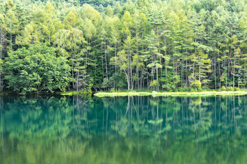 静かな夏の湖畔