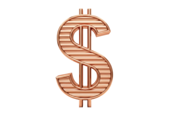 Isolated textured bronze dollar sign for digital finance market stock value rates