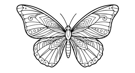 Butterfly Line Art – Symmetrical Black-and-White Decorative Transparent Design 