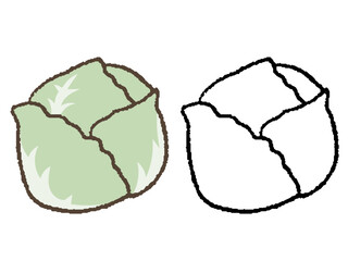 手描きのキャベツ