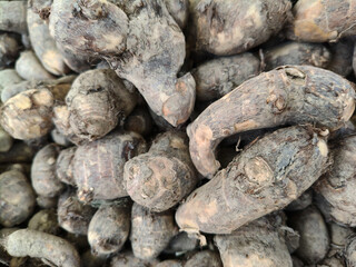 Close up shot of pile of Taro root.
