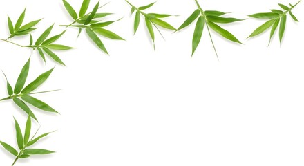 Naklejka premium Green bamboo leaves arranged in a corner border on white background