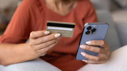 Female bank client making financial transaction on Internet application