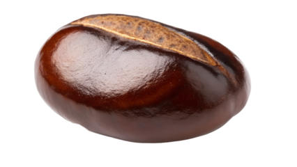 Single tamarind seed, dark polished surface with fine indent, isolated on transparent background