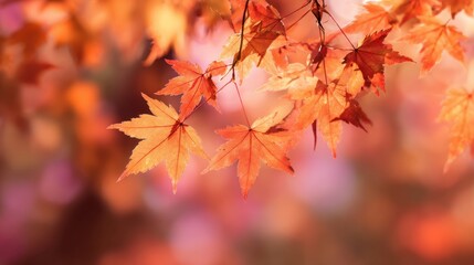 Warm orange and red autumn leaves gently sway on tree branches creating a vibrant display in a peaceful forest during the fall season inviting natures beauty.