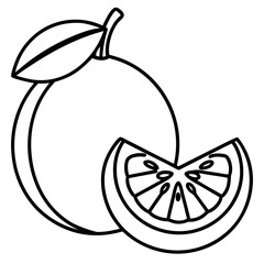 Fresh Guava Fruit Vector Pack