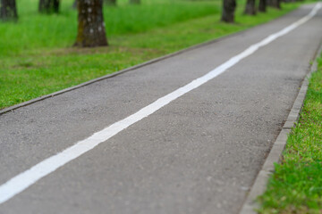 Obraz premium A Serene Park Pathway That is Beautifully Surrounded by Lush and Vibrant Greenery