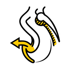 Peristalsis Motion Illustration for Gut Activity