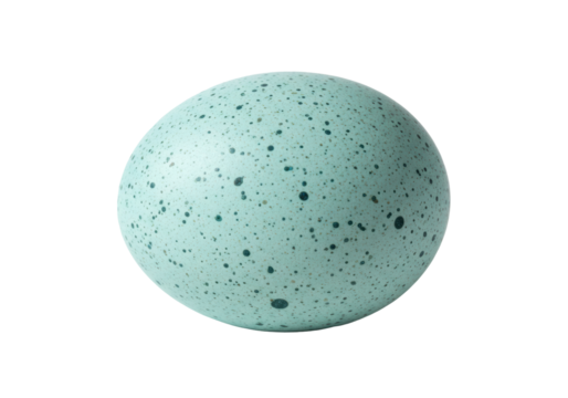 Isolated speckled egg, robin's egg, light blue, with small spots, nature, speckled texture